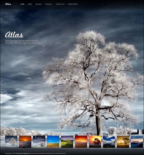 atlas WordPress Photography Themes