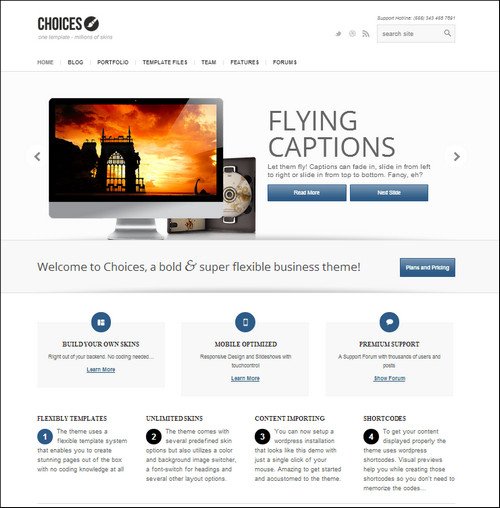 choices simple wordpress themes