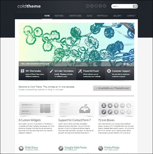 cold-theme simple wordpress themes