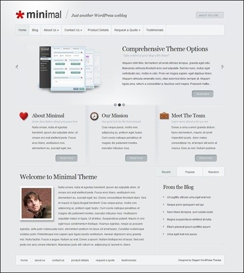 elegant-minimal simple wordpress themes