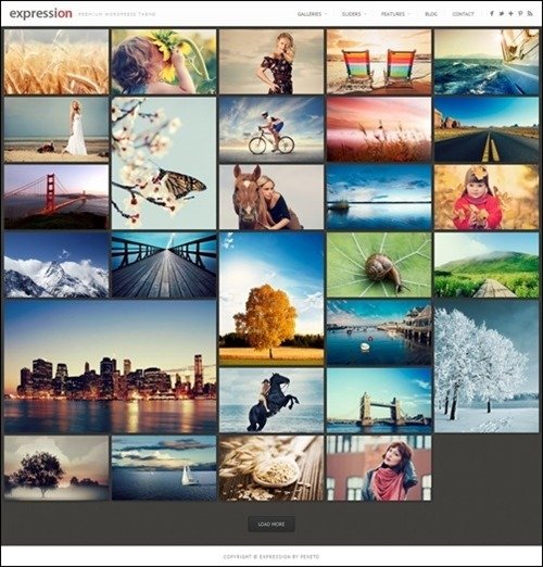 expression WordPress Photography Themes