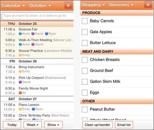 family-organizer