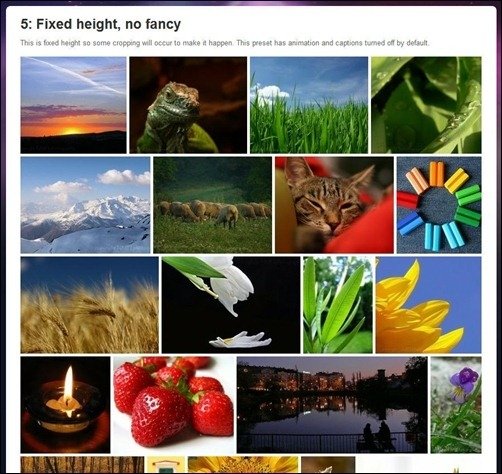 justified-image-grid