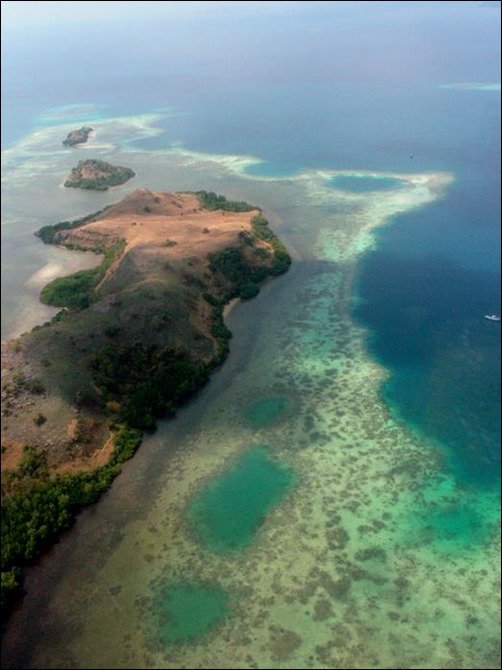 komodo