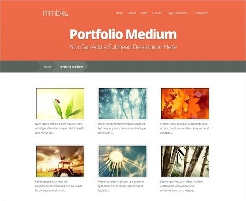 nimble simple wordpress themes