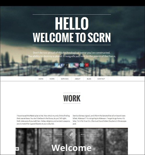 scrn-wordpress-photography-theme[5]
