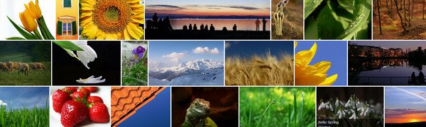 wordpress gallery plugin
