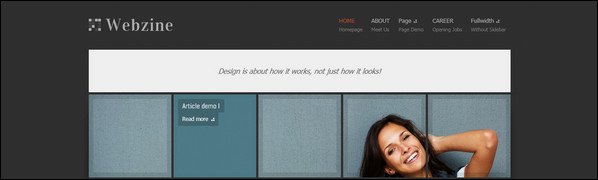 45+ WordPress Magazine Themes – Time To Get Serious?
