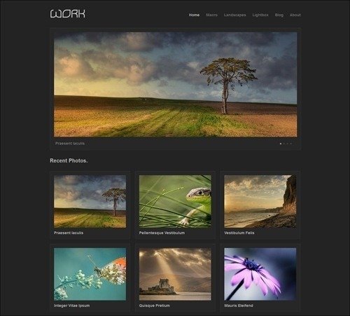 work WordPress Photography Themes