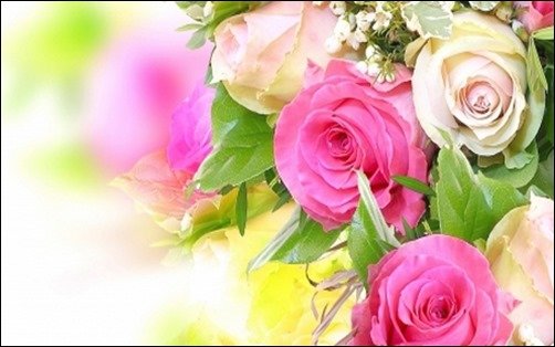 A-Rose-is-a-Rose-beautiful-roses-wallpapers A-Rose-is-a-Rose-beautiful-roses-wallpapers