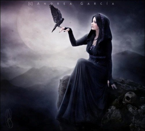 Black-Bird-hd-black-wallpaper Black-Bird-hd-black-wallpaper