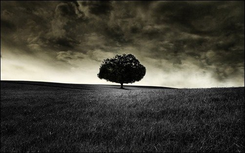 Black-Tree-Wallpaper-black-wallpaper Black-Tree-Wallpaper-black-wallpaper