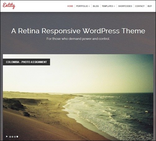 Entity-wordpress-news-themes