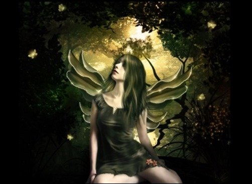 Fairy-wallpapers-black-wallpaper Fairy-wallpapers-black-wallpaper