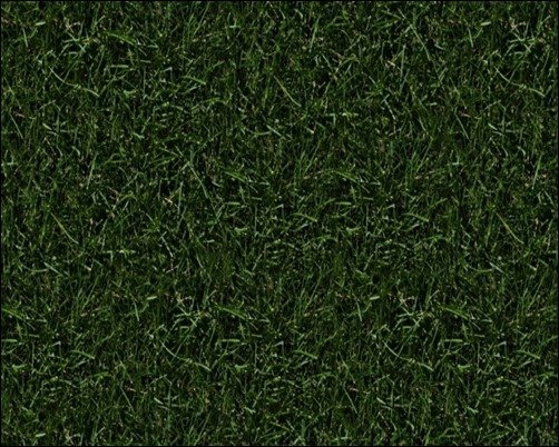 Free-Texture-Seamless-Grass-grass-texture