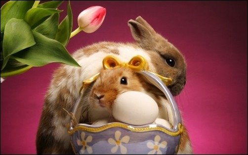 Happy-Easter-easter-wallpapers
