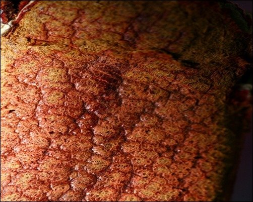 Leather-Book-Texture-leather-texture Leather-Book-Texture-leather-texture