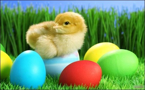 Little-Chicken-free-easter-desktop-backgrounds