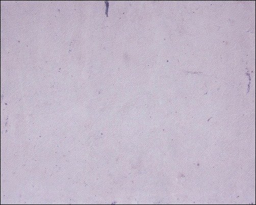 Mauve-Leather-Texture-black-leather-texture Mauve-Leather-Texture-black-leather-texture