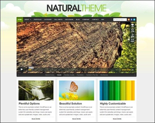 Natural-Theme wordpress video theme