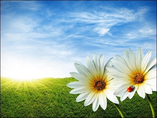 Nature-3D-Wallpaper-3d-desktop-wallpaper Nature-3D-Wallpaper-3d-desktop-wallpaper