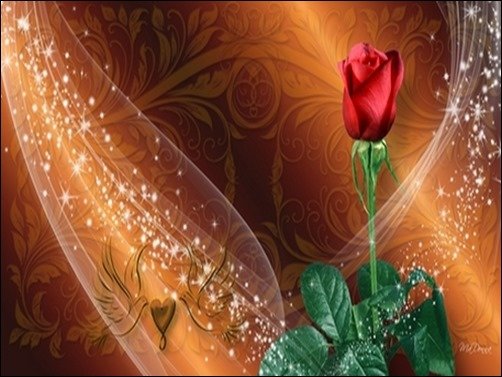 One-Red-Rose-wallpaper-rose One-Red-Rose-wallpaper-rose