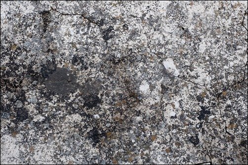 Porous-Stone-Texture-with-Moss-and-Lichens-stone-texture