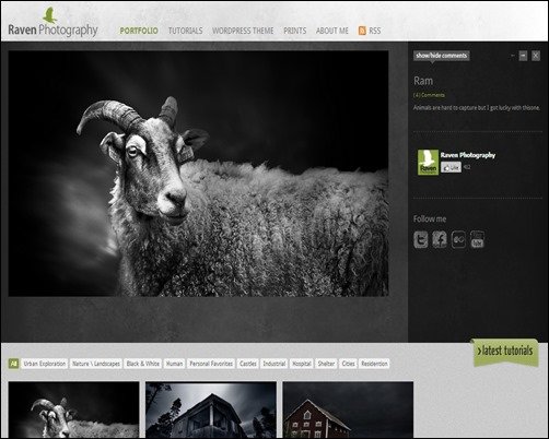 Raven-Photography-photographers-websites