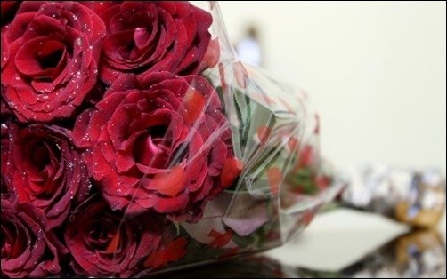 Red-Rose-Bouquet-rose-wallpaper[3]