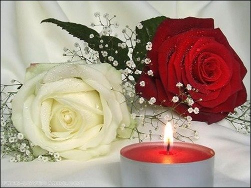 Romantic-Day-rose-wallpapers Romantic-Day-rose-wallpapers