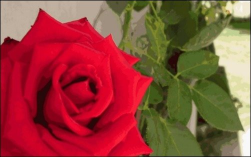 Romantic-Wallpaper-wallpaper-rose Romantic-Wallpaper-wallpaper-rose