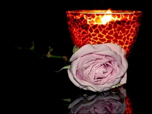 Rose-And-Candle-rose-wallpaper Rose-And-Candle-rose-wallpaper