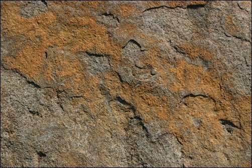 Stone-31-stone-texture