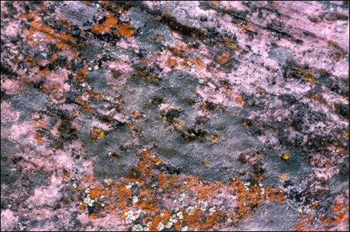 Stone-4-stone-texture