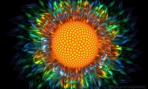 Sunburst-Daisy-inspirational-backgrounds Sunburst-Daisy-inspirational-backgrounds