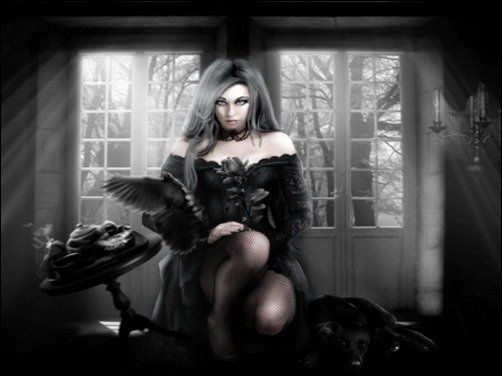 The-Black-Rose-black-wallpaper The-Black-Rose-black-wallpaper