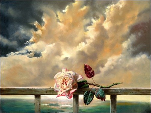 Waiting-Rose-Behind-Your-Window-roses-wallpaper Waiting-Rose-Behind-Your-Window-roses-wallpaper