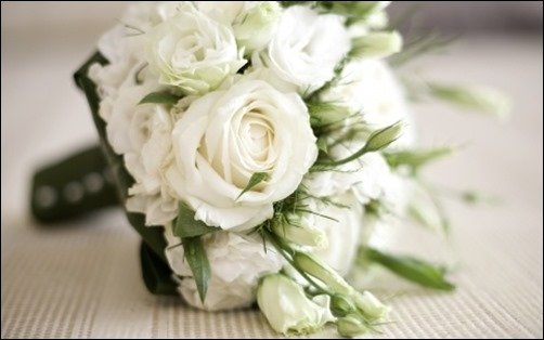 White-Roses-Bouquet-rose-wallpaper White-Roses-Bouquet-rose-wallpaper