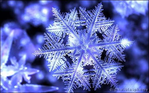 Winterborn-3d-desktop-wallpaper Winterborn-3d-desktop-wallpaper