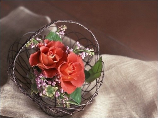 With-Love-rose-wallpaper With-Love-rose-wallpaper
