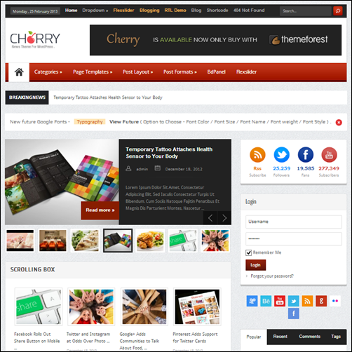 cherry wordpress news themes