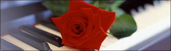 45+ Romantic Rose Wallpaper Showcase