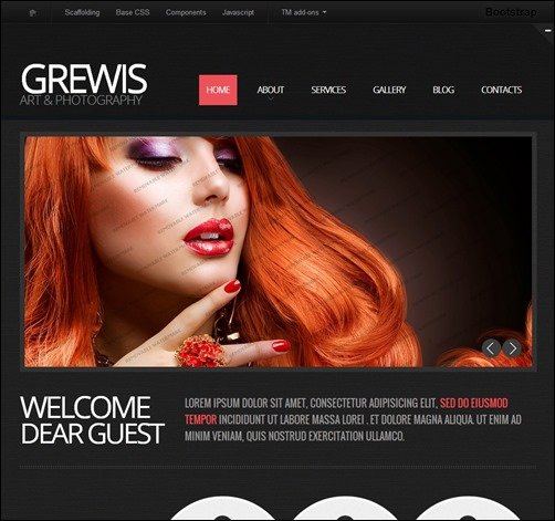 Art-Photography-Website-Template-wordpress-corporate-bootstrap