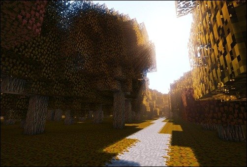 Autumn