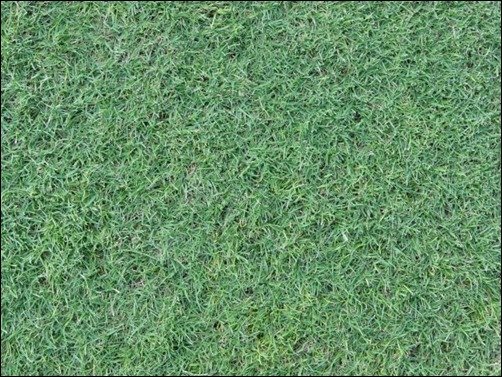 Blue-Green-Grass-Texture-free-grass-texture