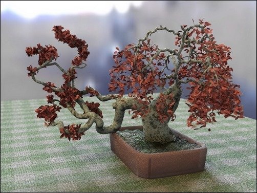 Bonsai-Banzai-Tree-bonsai-wallpaper