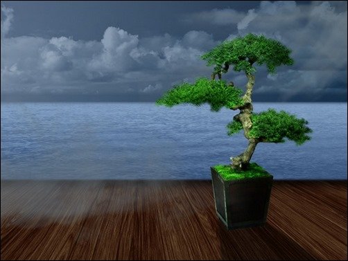 Bonsai-Wallpaper-bonsai-wallpaper