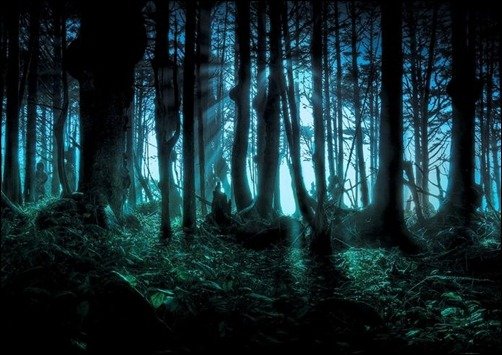 Dark-Forest-Wallpaper