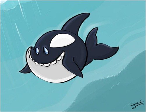 Killer-Whale