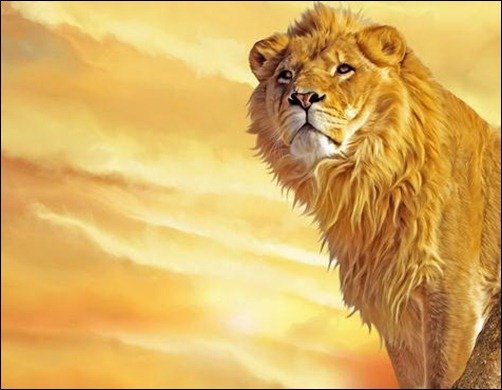 Lion